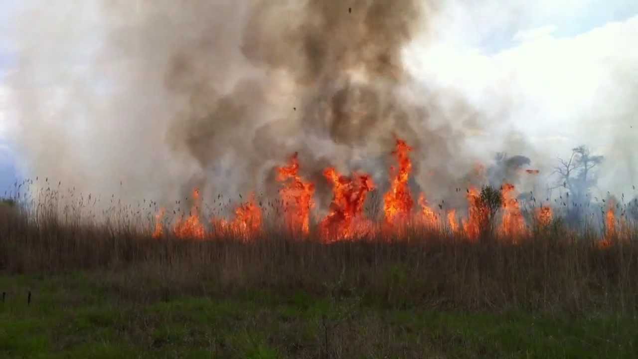 Упродовж минулої доби рятувальники загасили 12 пожеж сухої трави