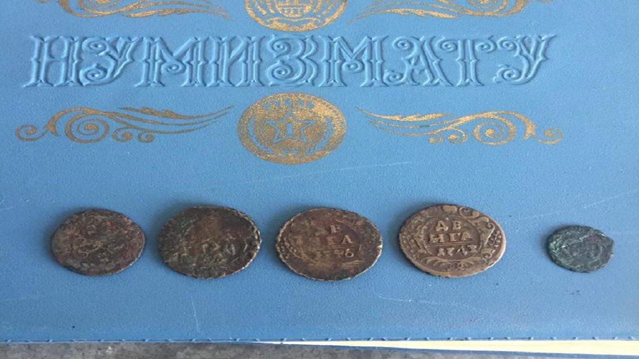 У Шегинях затримали громадянина Німеччини із старовинними монетами