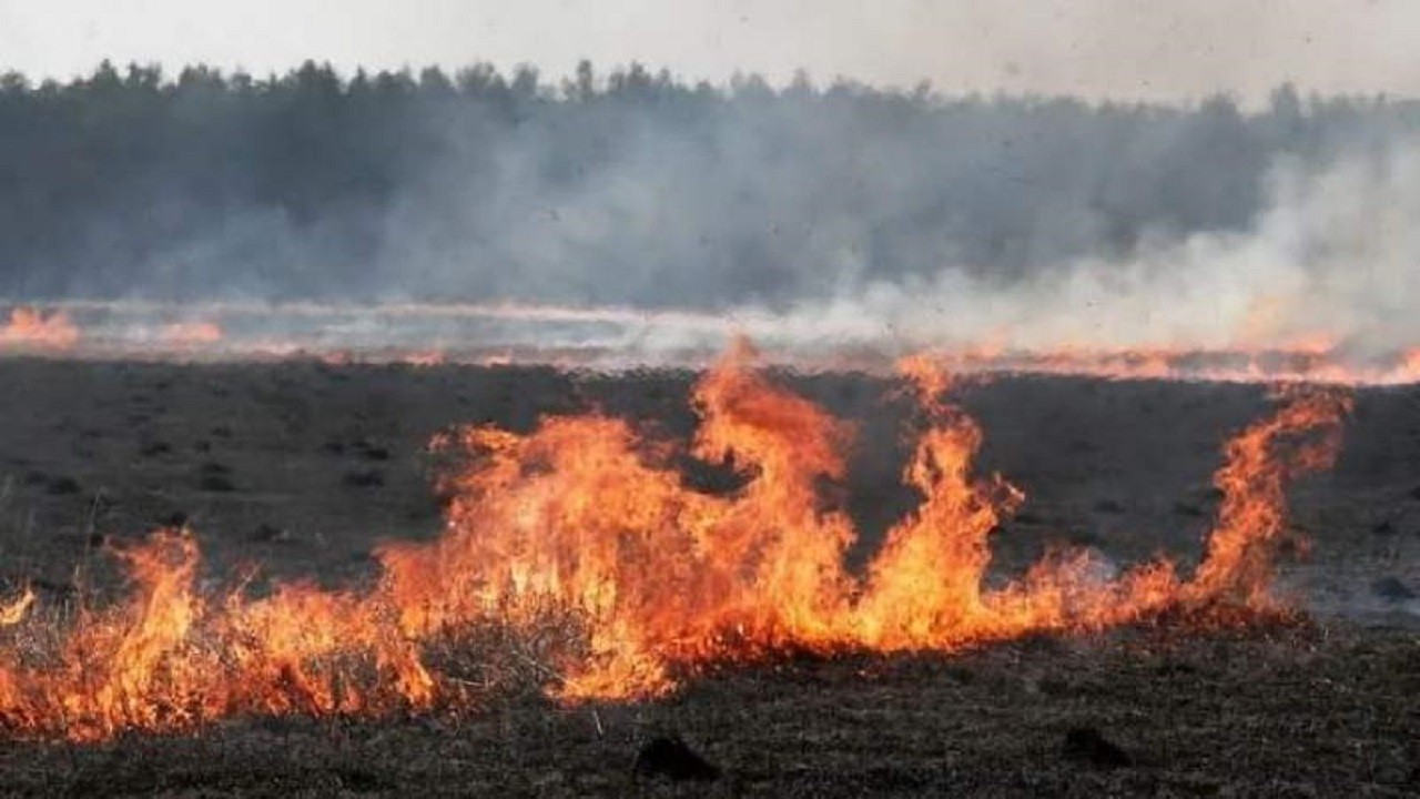 Впродовж доби на Львівщині рятувальники загасили 29 пожеж сухостою