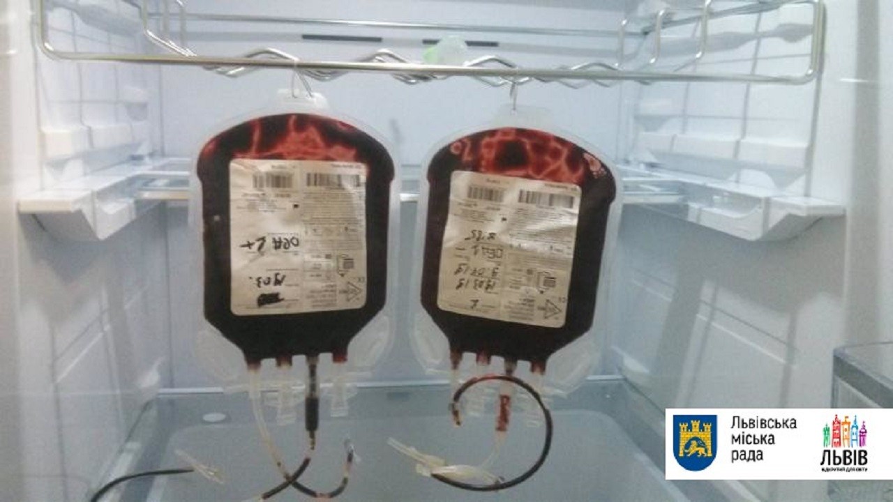 У Львові шукають донорів крові для собак 