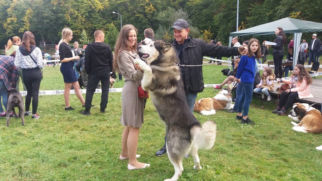 На Погулянці провели виставку собак «Лео Дог 2019» (ВІДЕО)